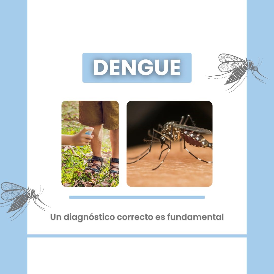 Dengue