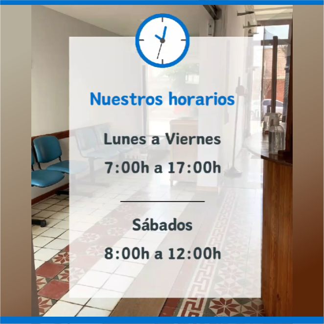 Horarios 2024